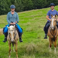 Twin Coast Adventure, North Island, New Zealand - Globetrotting horse riding holidays