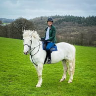 Castle & Estate Ride, Ireland - Globetrotting horse riding holidays