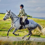 The Scottish Borders Ride, Scotland - Globetrotting horse riding holidays