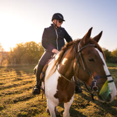 Bordeaux WIne Trail, France - Globetrotting horse riding holidays