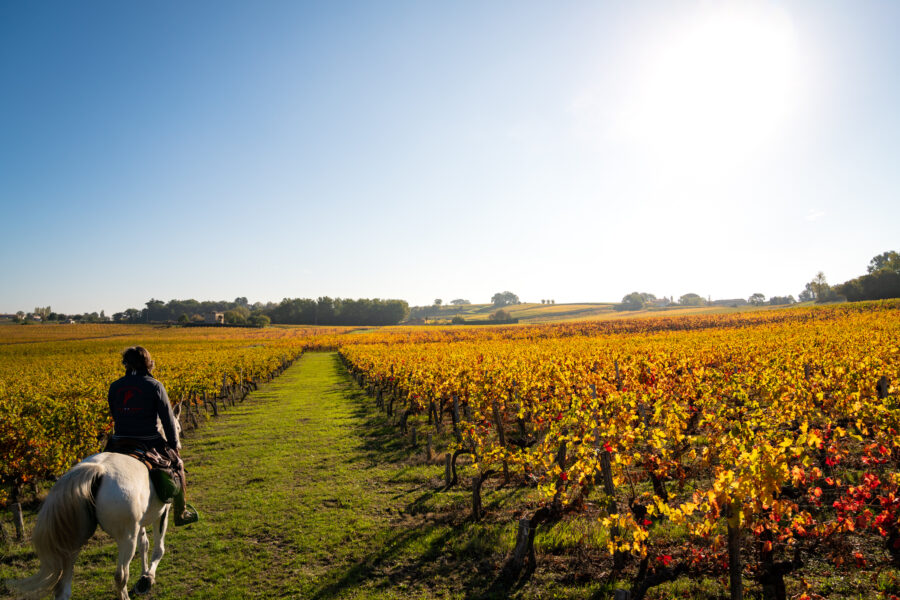 Bordeaux WIne Trail, France - Globetrotting horse riding holidays