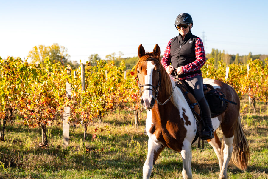 Bordeaux Wine Trail, France - Globetrotting horse riding holidays
