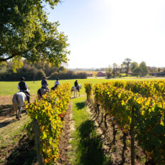 The Champagne Ride, France - Globetrotting horse riding holidays