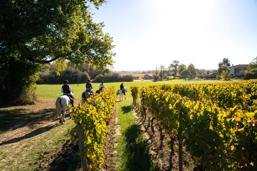 The Champagne Ride, France - Globetrotting horse riding holidays