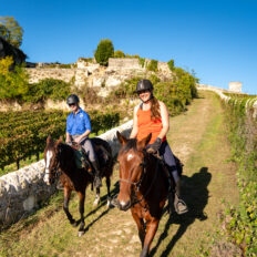 horse riding holiday in Bordeaux, France