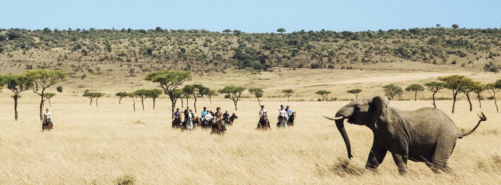 Maasai Mara Safari, Kenya - Globetrotting horse riding holidays