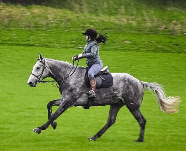 The Scottish Borders Ride, Scotland - Globetrotting horse riding holidays