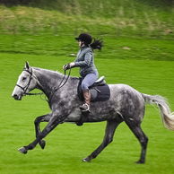 The Scottish Borders Ride, Scotland - Globetrotting horse riding holidays