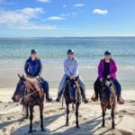 The Margaret River Ride, Western Australia - Globetrotting horse riding holidays