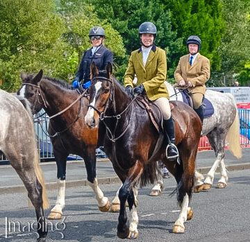 The Scottish Borders Ride, Scotland - Globetrotting horse riding holidays
