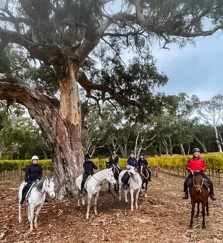 The Grape Horse Adventure, Barossa Valley, South Australia - Globetrotting horse riding holidays