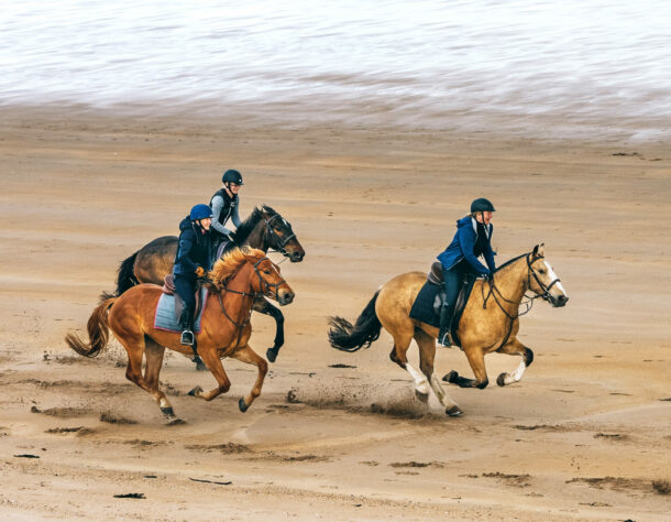 The Scottish Borders Ride, Scotland - Globetrotting horse riding holidays