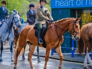 The Scottish Borders Ride, Scotland - Globetrotting horse riding holidays