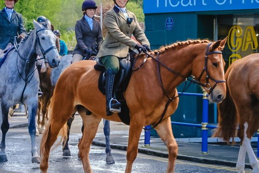 The Scottish Borders Ride, Scotland - Globetrotting horse riding holidays