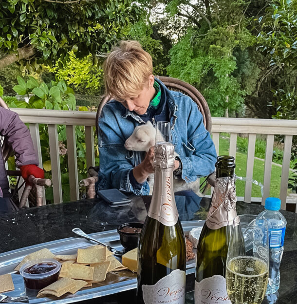 The Grape Horse Adventure, Barossa Valley, South Australia - Globetrotting horse riding holidays