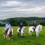 Castle & Estate Ride, Ireland - Globetrotting horse riding holidays