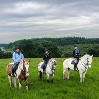 Castle & Estate Ride, Ireland - Globetrotting horse riding holidays