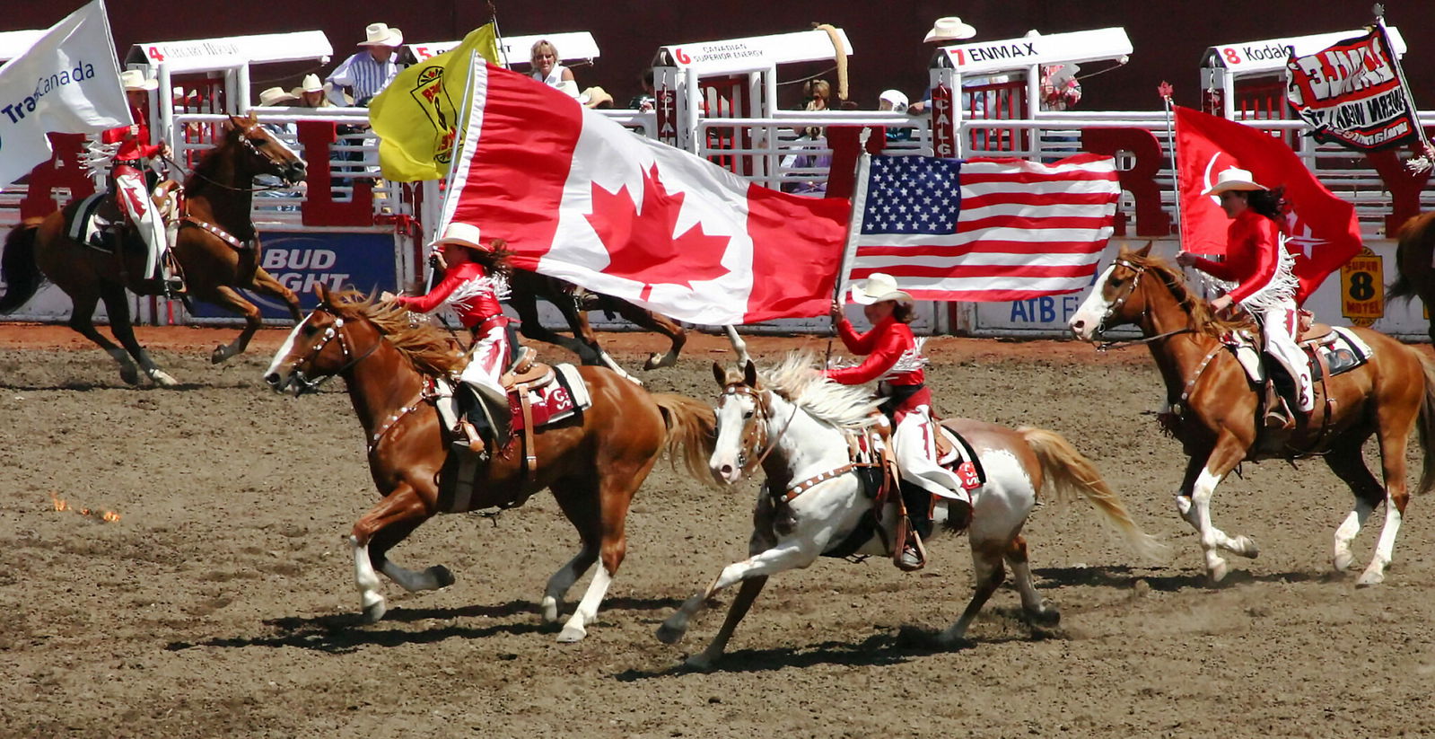 The Calgary Stampede - image by steve estvanik/Shutterstock.com - Globetrotting horse riding holidays