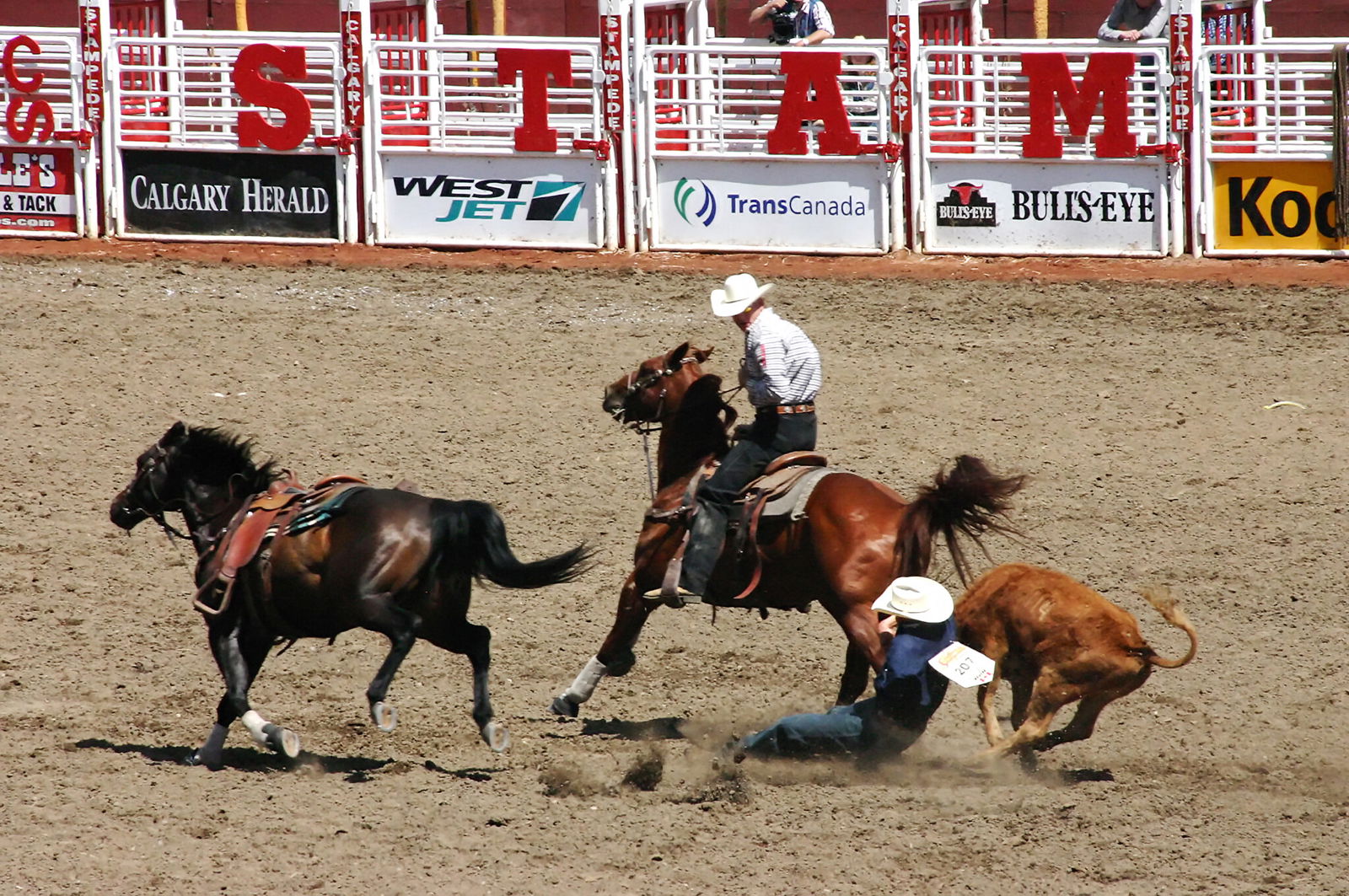 The Calgary Stampede - image by steve estvanik/Shutterstock.com - Globetrotting horse riding holidays