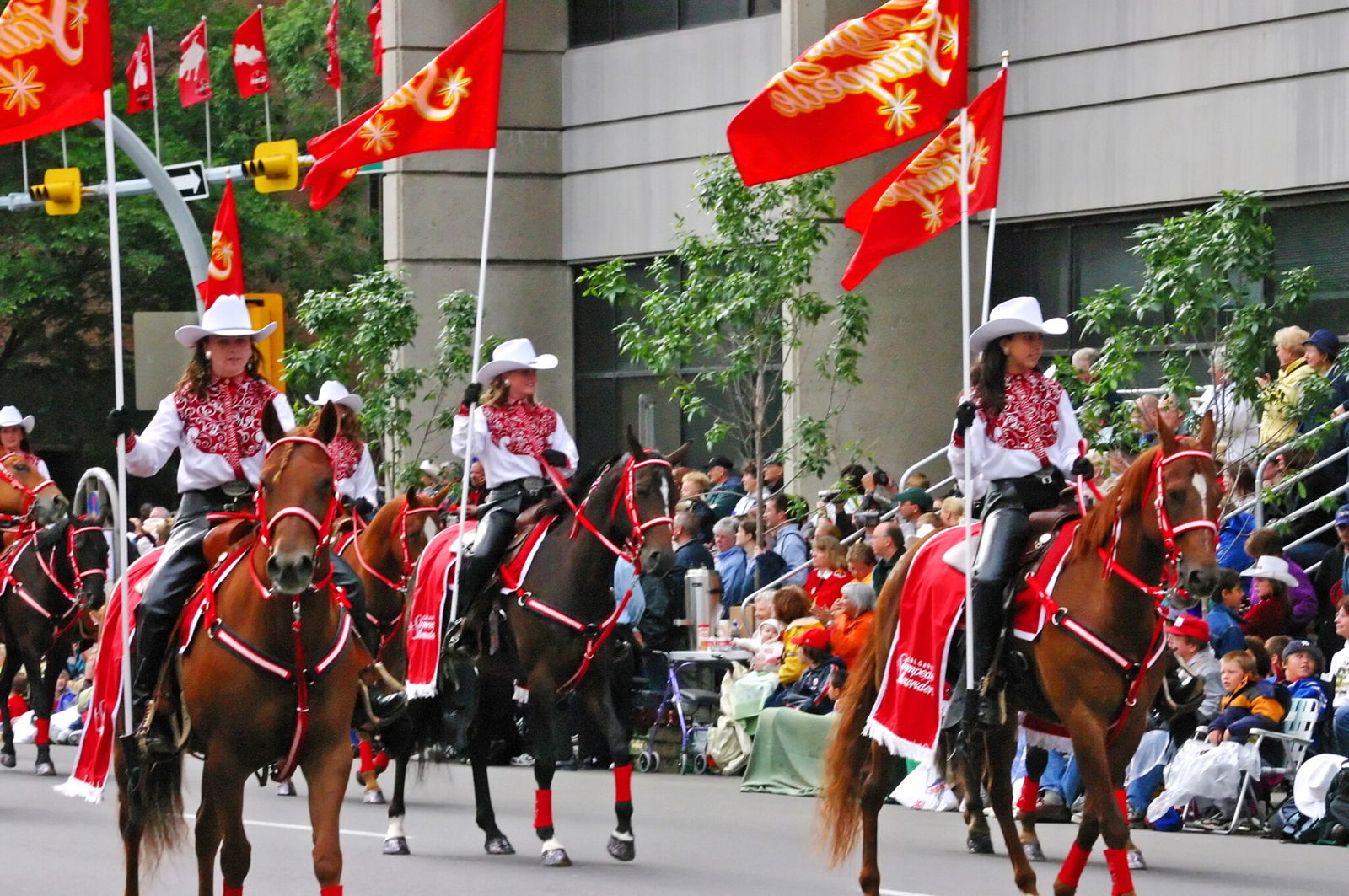 The Calgary Stampede - image by steve estvanik/Shutterstock.com - Globetrotting horse riding holidays