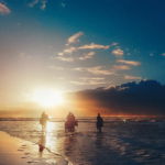 The Shoalhaven Ride, New South Wales, Australia - Globetrotting horse riding holidays