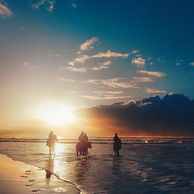 The Shoalhaven Ride, New South Wales, Australia - Globetrotting horse riding holidays