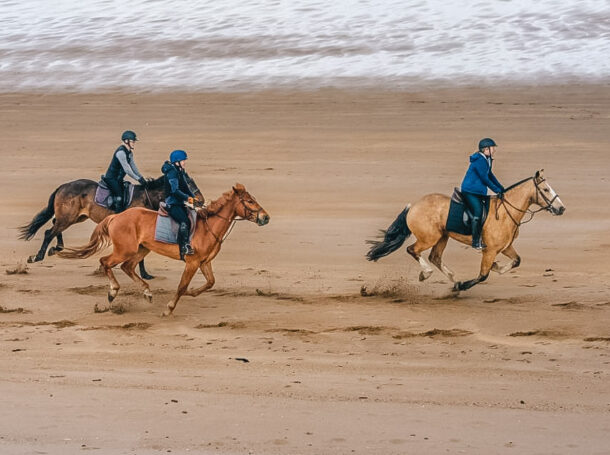 The Scottish Borders Ride, Scotland - Globetrotting horse riding holidays