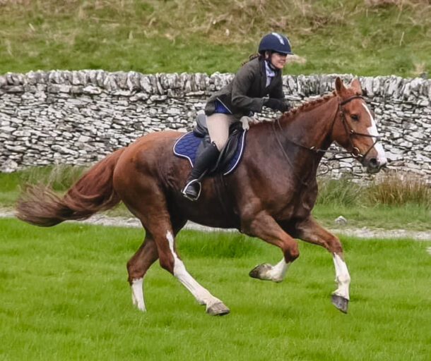 The Scottish Borders Ride, Scotland - Globetrotting horse riding holidays