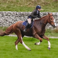 The Scottish Borders Ride, Scotland - Globetrotting horse riding holidays