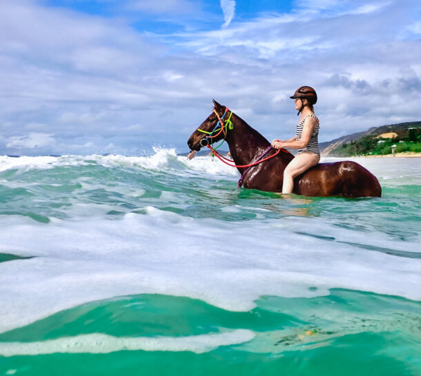 The Rainbow Beach, Bush & Cattle Ride, Queensland, Australia - Globetrotting horse riding holidays