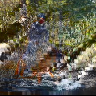 The Shoalhaven Ride, New South Wales, Australia - Globetrotting horse riding holidays