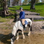 Castle & Estate Ride, Ireland - Globetrotting horse riding holidays