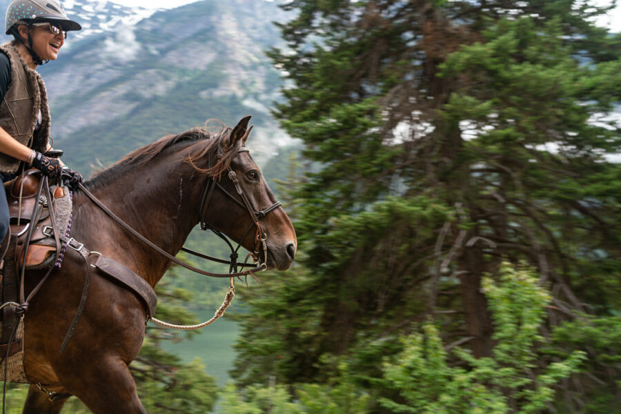 Whistler Wilderness Ride, British Columbia, Canada - Globetrotting horse riding holidays