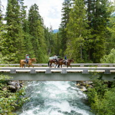 Whistler Wilderness Ride, British Columbia, Canada - Globetrotting horse riding holidays