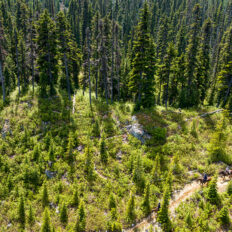 Whistler Wilderness Ride, British Columbia, Canada - Globetrotting horse riding holidays