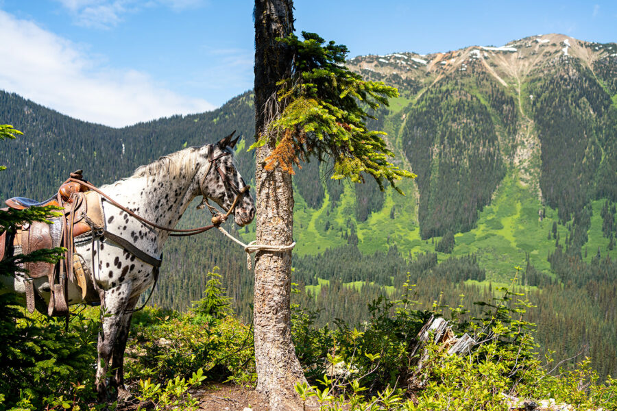 Whistler Wilderness Ride, British Columbia, Canada - Globetrotting horse riding holidays
