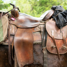 Whistler Wilderness Ride, British Columbia, Canada - Globetrotting horse riding holidays