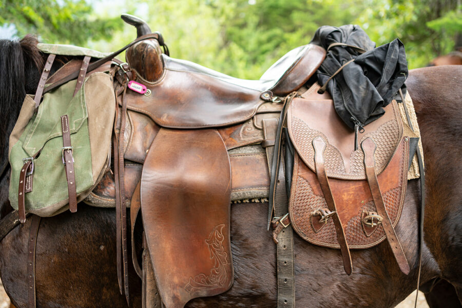 Whistler Wilderness Ride, British Columbia, Canada - Globetrotting horse riding holidays