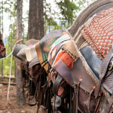 Whistler Wilderness Ride, British Columbia, Canada - Globetrotting horse riding holidays