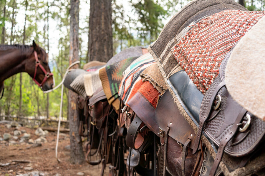 Whistler Wilderness Ride, British Columbia, Canada - Globetrotting horse riding holidays