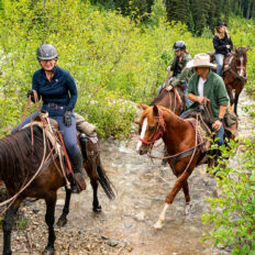 Whistler Wilderness Ride, British Columbia, Canada - Globetrotting horse riding holidays