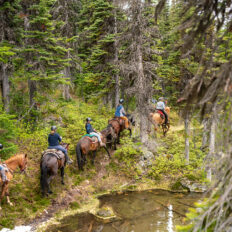 Whistler Wilderness Ride, British Columbia, Canada - Globetrotting horse riding holidays