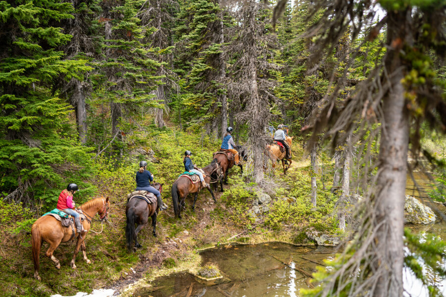 Whistler Wilderness Ride, British Columbia, Canada - Globetrotting horse riding holidays