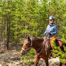Whistler Wilderness Ride, British Columbia, Canada - Globetrotting horse riding holidays