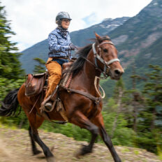 Whistler Wilderness Ride, British Columbia, Canada - Globetrotting horse riding holidays