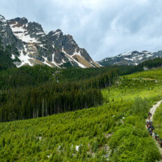 Whistler Wilderness Ride, British Columbia, Canada - Globetrotting horse riding holidays