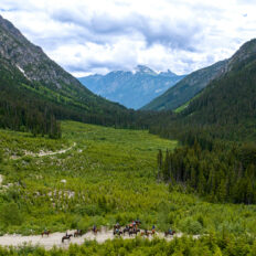 Whistler Wilderness Ride, British Columbia, Canada - Globetrotting horse riding holidays