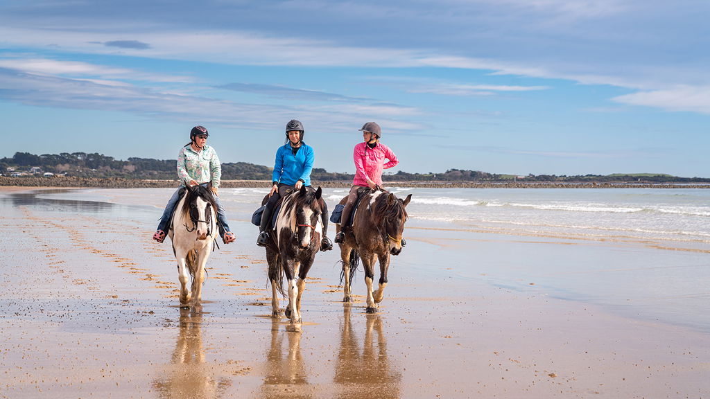 The Tassie Ride - Globetrotting horse riding holidays