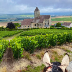 The Champagne Ride, France - Globetrotting horse riding holidays