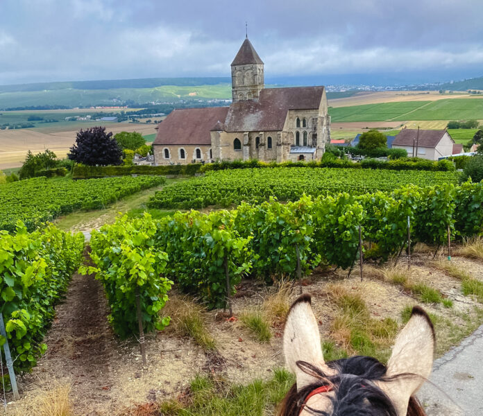The Champagne Ride, France - Globetrotting horse riding holidays